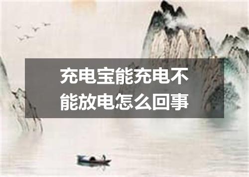 充电宝能充电不能放电怎么回事