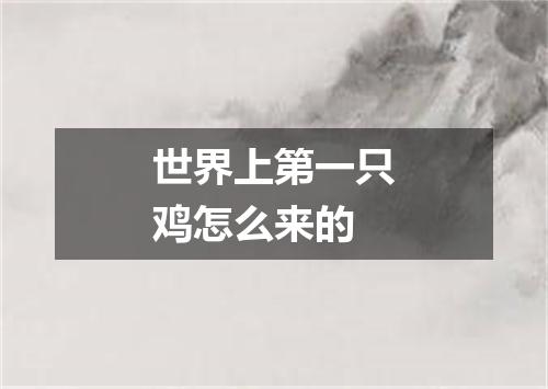 世界上第一只鸡怎么来的