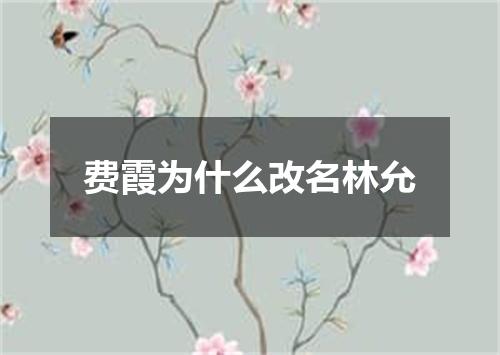 费霞为什么改名林允