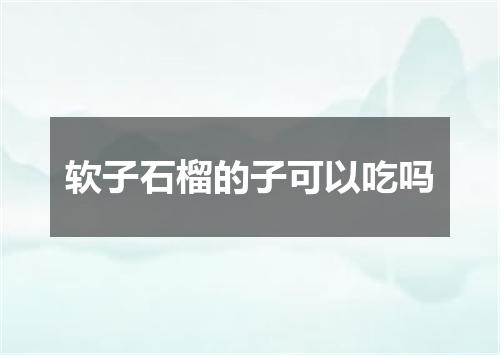 软子石榴的子可以吃吗