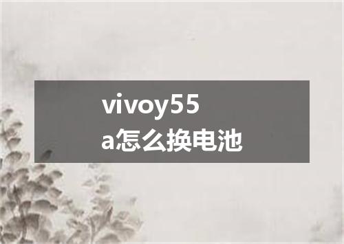 vivoy55a怎么换电池
