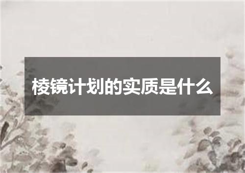 棱镜计划的实质是什么