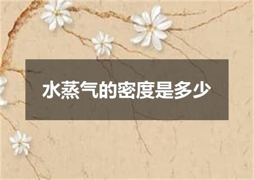 水蒸气的密度是多少