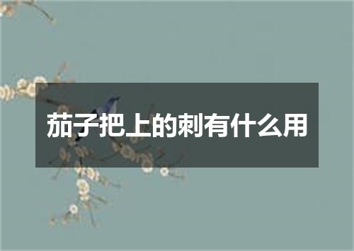 茄子把上的刺有什么用