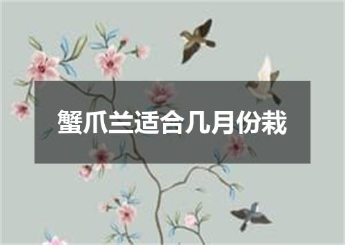 蟹爪兰适合几月份栽