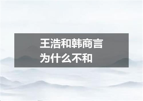 王浩和韩商言为什么不和