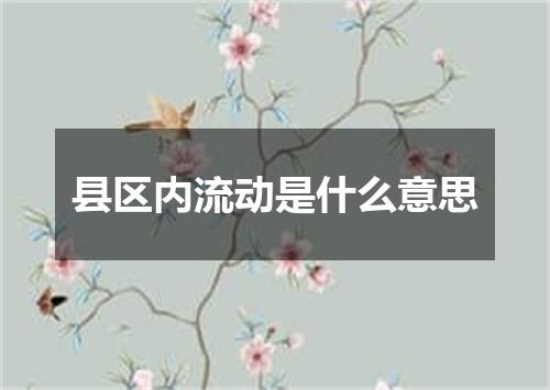 县区内流动是什么意思