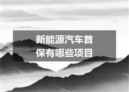 新能源汽车首保有哪些项目