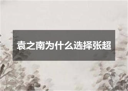 袁之南为什么选择张超