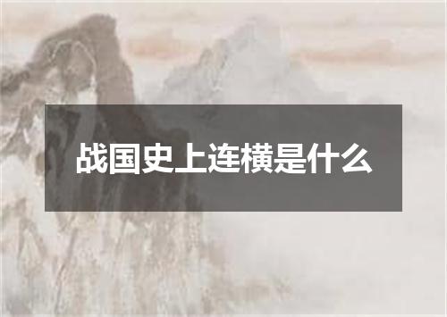 战国史上连横是什么