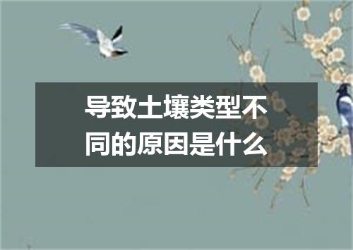 导致土壤类型不同的原因是什么