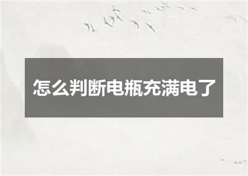 怎么判断电瓶充满电了