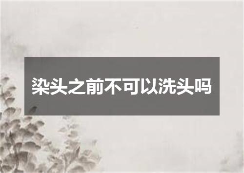 染头之前不可以洗头吗