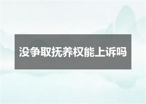 没争取抚养权能上诉吗
