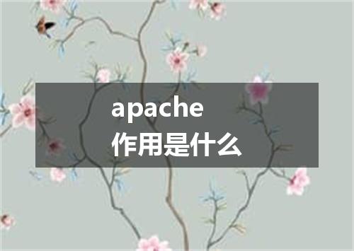 apache作用是什么