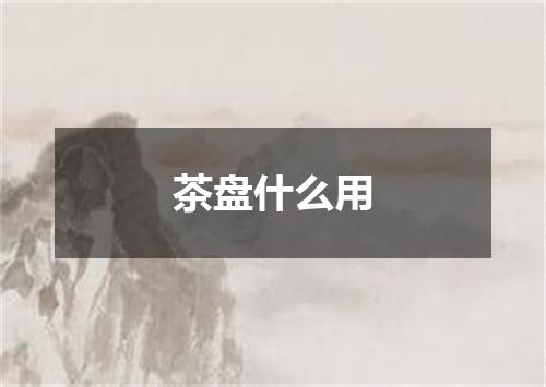 茶盘什么用
