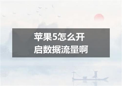苹果5怎么开启数据流量啊