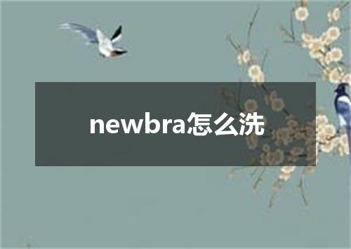 newbra怎么洗