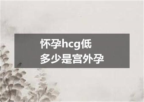 怀孕hcg低多少是宫外孕