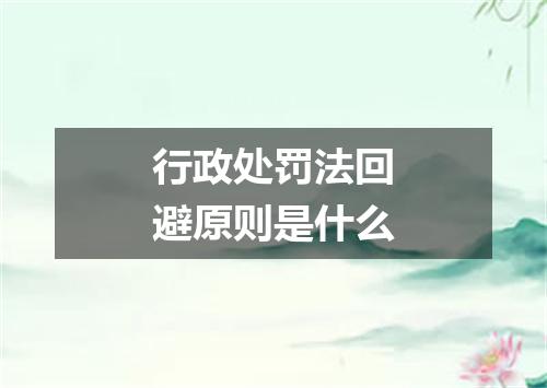 行政处罚法回避原则是什么