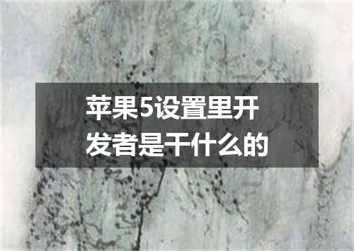 苹果5设置里开发者是干什么的
