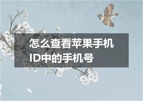 怎么查看苹果手机ID中的手机号