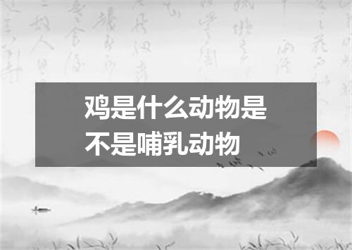 鸡是什么动物是不是哺乳动物