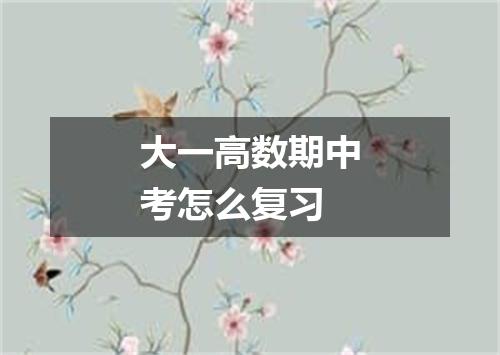 大一高数期中考怎么复习