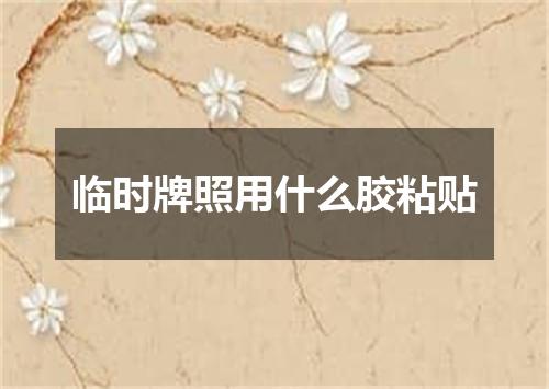 临时牌照用什么胶粘贴