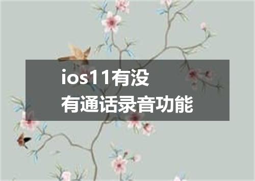 ios11有没有通话录音功能