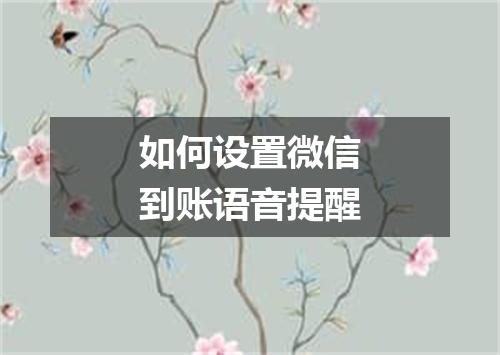 如何设置微信到账语音提醒