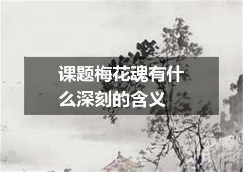 课题梅花魂有什么深刻的含义