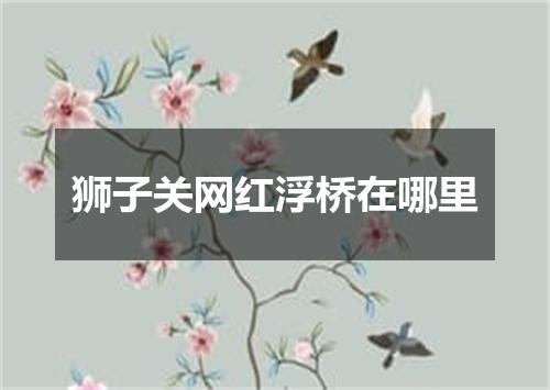 狮子关网红浮桥在哪里