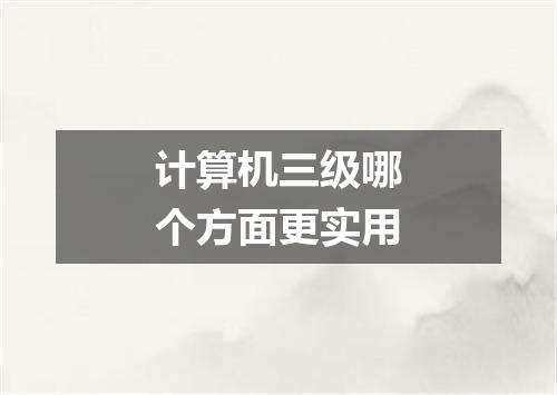 计算机三级哪个方面更实用