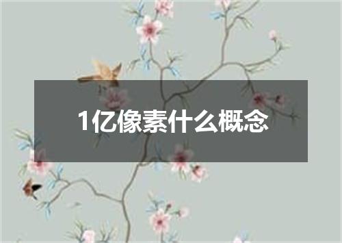 1亿像素什么概念