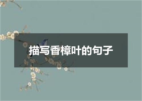 描写香樟叶的句子