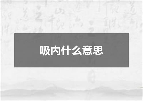 吸内什么意思