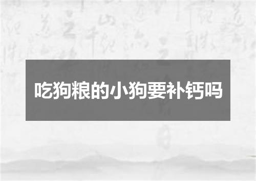 吃狗粮的小狗要补钙吗
