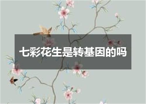 七彩花生是转基因的吗