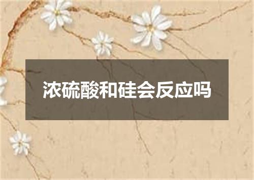 浓硫酸和硅会反应吗