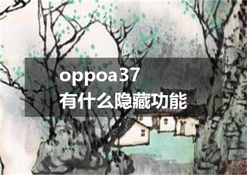 oppoa37有什么隐藏功能