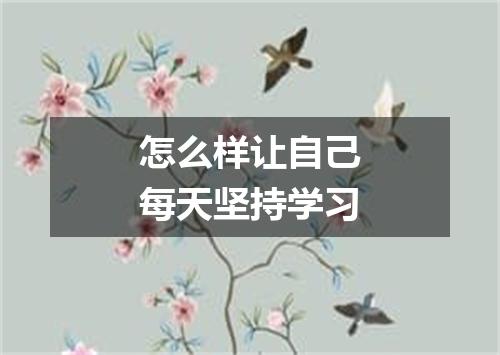 怎么样让自己每天坚持学习