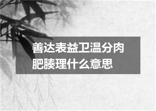 善达表益卫温分肉肥腠理什么意思