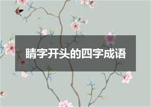 睛字开头的四字成语