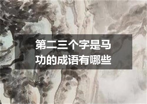 第二三个字是马功的成语有哪些