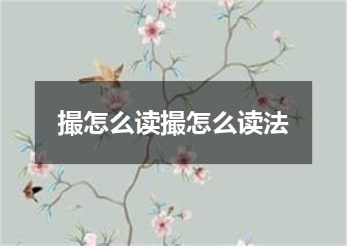 撮怎么读撮怎么读法