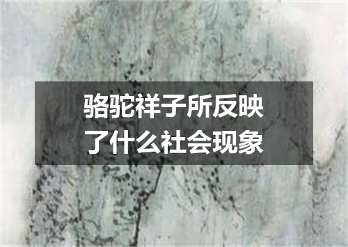 骆驼祥子所反映了什么社会现象