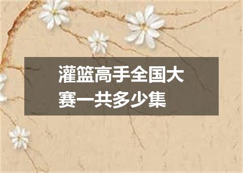 灌篮高手全国大赛一共多少集