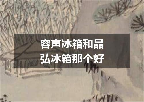 容声冰箱和晶弘冰箱那个好