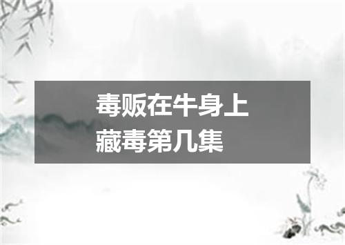 毒贩在牛身上藏毒第几集